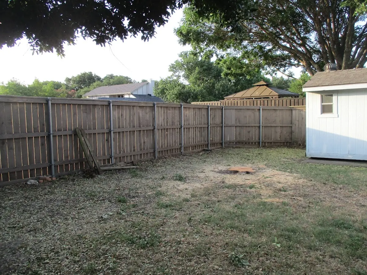 Cleared yard after professional tree removal in Slingerlands