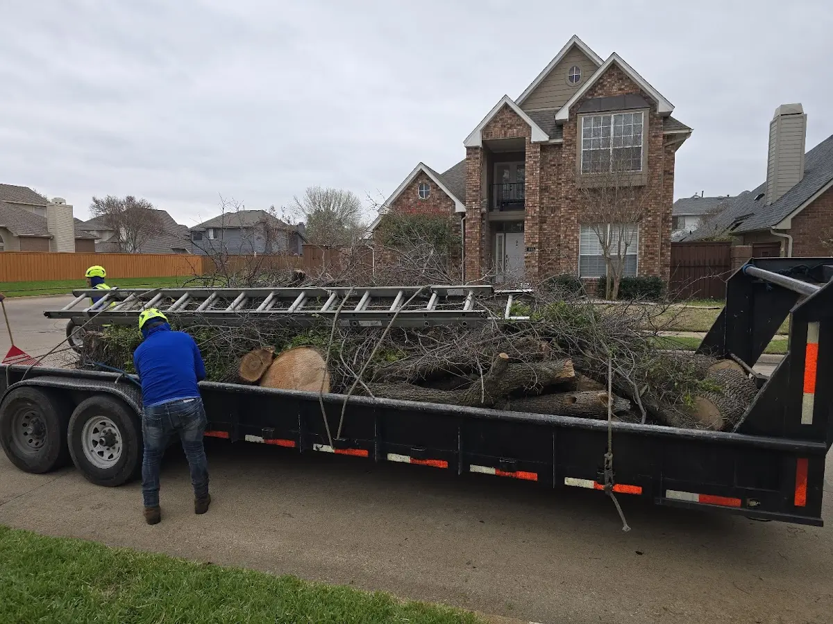 Expert Lot Clearing with proper safety equipment in Slingerlands